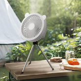 Dual Use Hanging Standing Portable Fan Usb
